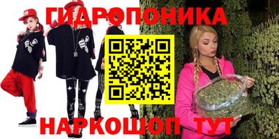меф Кингисепп