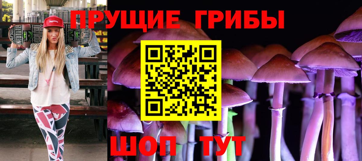 Псилоцибиновые грибы прущие грибы  Псилоцибиновые грибы Magic Shrooms  как найти   Красноармейск  Вход с VPN 